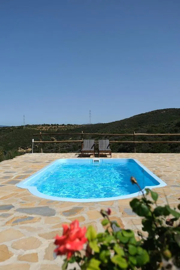The Wild Olive Andalucia Citrus Suite Casares