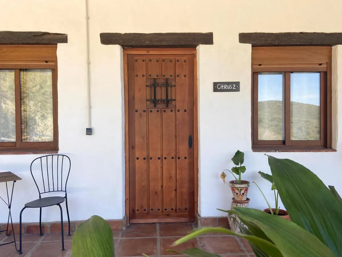 Farm stay The Wild Olive Andalucia Citrus Suite Casares Spain