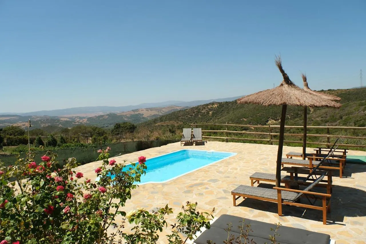 The Wild Olive Andalucia Citrus Suite Casares