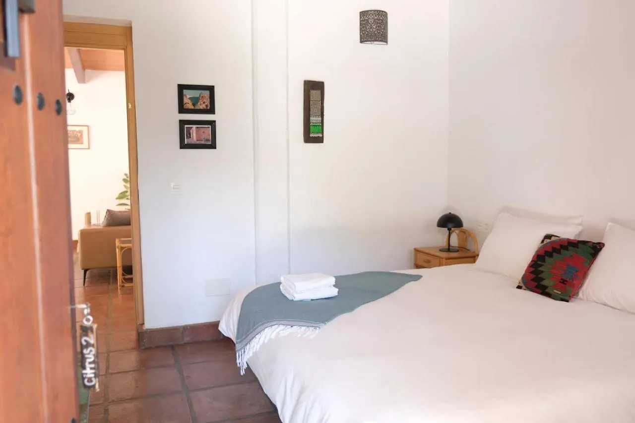 The Wild Olive Andalucia Citrus Suite Casares Spain