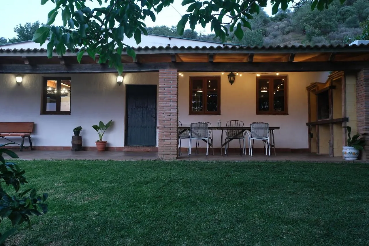 The Wild Olive Andalucia Citrus Suite Casares Farm stay